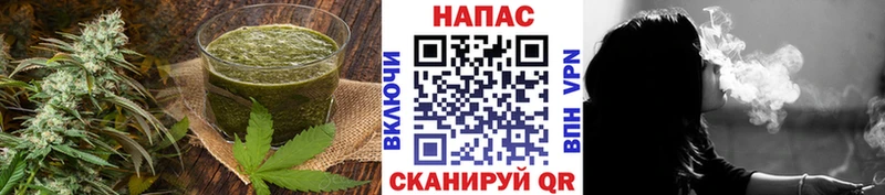 Купить закладки  Вытегра  Cannafood конопля 