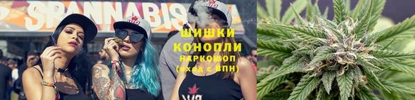 гидропоника Инта