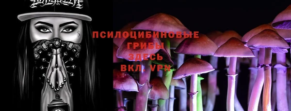 гидропоника Инта