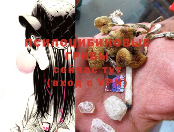 марки nbome Зеленокумск