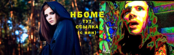 гидропоника Инта