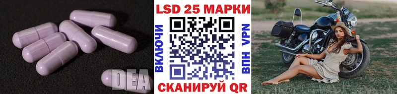 Лсд 25 экстази кислота  Купить где  Вытегра 