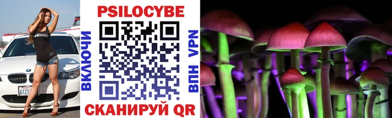 Галлюциногенные грибы мухоморы  Купить закладки  Вытегра 